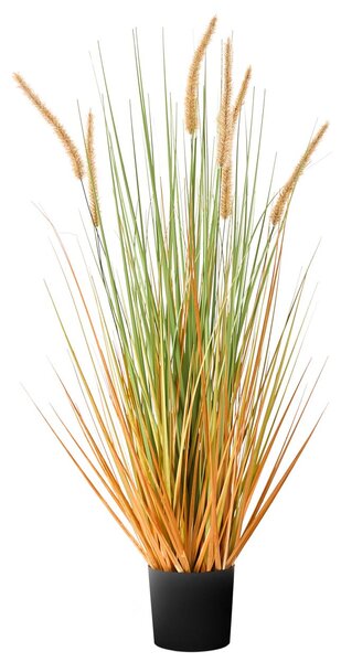Műnövény BRISTLEGRASS 90 cm Zöld