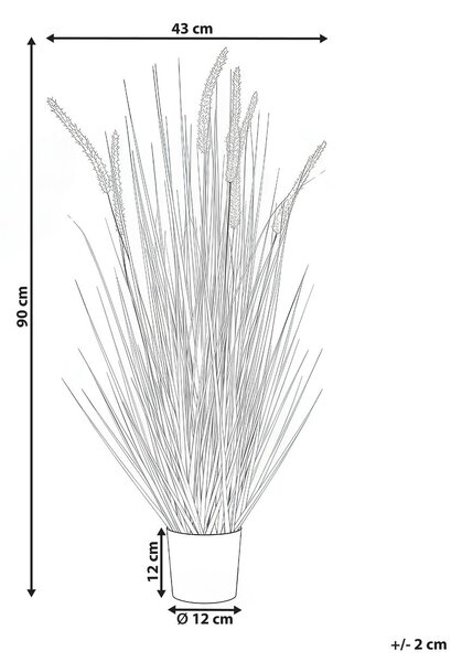 Műnövény BRISTLEGRASS 90 cm Zöld