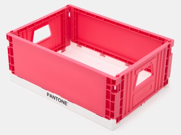 Sinsay - Összecsukható tárolódoboz Pantone - fuksziaszínű