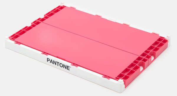 Sinsay - Összecsukható tárolódoboz Pantone - fuksziaszínű