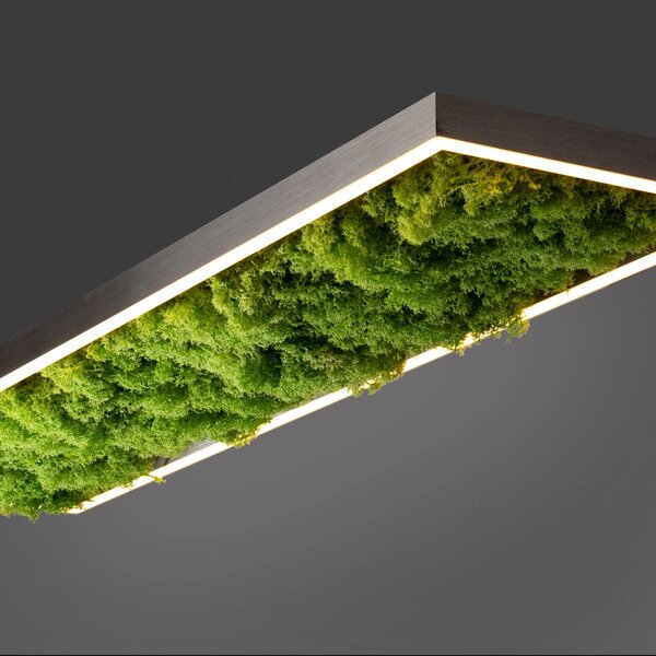 JUST LIGHT. GmbH LED mennyezeti világítás Green Knut valódi mohával, dimmelhető, Zöld, Nappali / Étkező, Modern