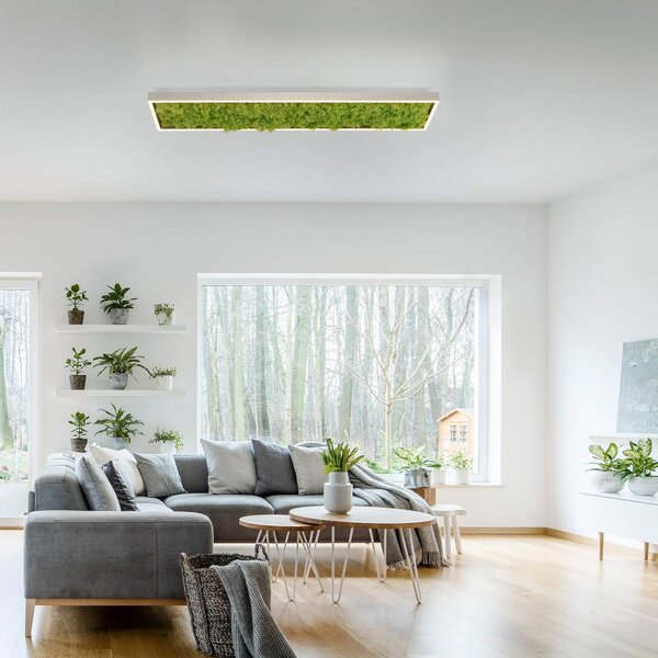 JUST LIGHT. GmbH LED mennyezeti világítás Green Knut valódi mohával, dimmelhető, Zöld, Nappali / Étkező, Modern