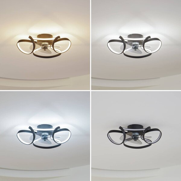 Lindby LED mennyezeti ventilátor Lomata, fekete, csendes, Ø 23 cm, dimmelhető, Fekete, Nappali / Étkező, Alumínium, Modern