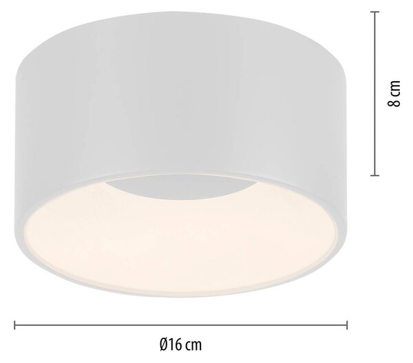 JUST LIGHT. GmbH Tanika LED mennyezeti lámpa, fehér, Ø 16 cm, dimmelhető, dimmelhető, Fehér / opál, Nappali / Étkező, Kerámia, Modern