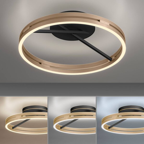 PURE LED mennyezeti lámpa Loop sárgaréz/fekete fém Ø 60 cm CCT, dimmelhető, Sárgaréz / arany, Nappali / Étkező, Alumínium, Modern