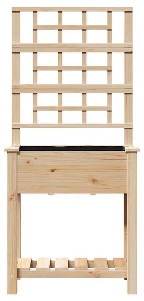 Kerti cserép Bézs 71 x 38 x 152 cm Szilárd fenyőfa