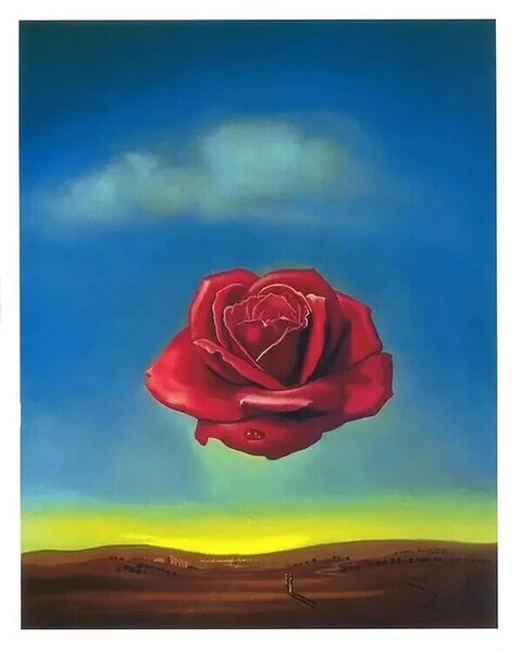 Művészeti nyomat Meditative Rose, 1958, Salvador Dalí, (24 x 30 cm)