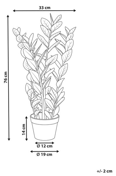 Műnövény ZAMIIFOLIA 76 cm Zöld