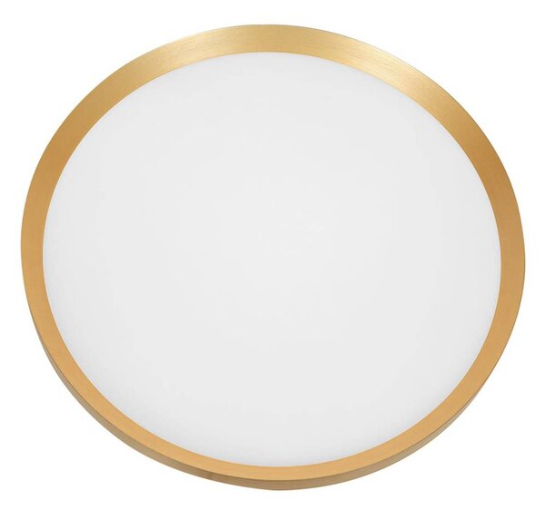 Steinhauer Flady LED mennyezeti lámpa, arany színű, Ø 40 cm direkt/indirekt, dimmelhető, Sárgaréz / arany, Nappali / Étkező, fém