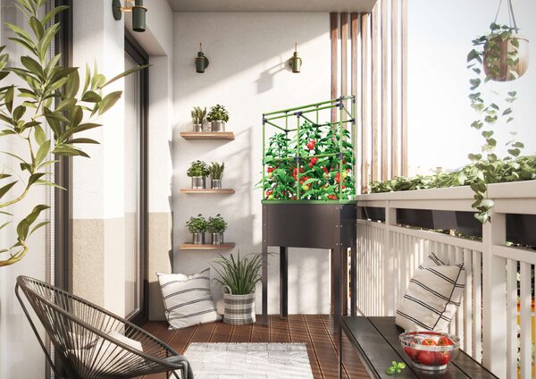 A „City Jungle Heidelberg” önöntözős, acél emelt ágyás, futtatóráccsal