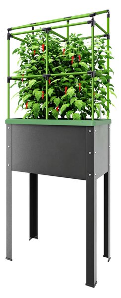 A „City Jungle Heidelberg” önöntözős, acél emelt ágyás, futtatóráccsal