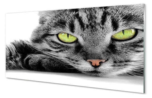 Üvegképek Szürke-fekete macska 100x50 cm