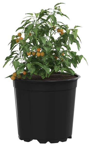Kerek Virágcserép 100 db Fekete Ø 15 x 13 cm Műanyag
