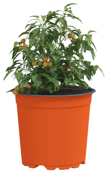 Kerek Virágcserép 100 db Terrakotta Ø 15 x 13 cm Műanyag