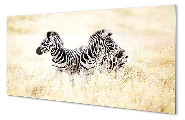 Üvegképek zebra box