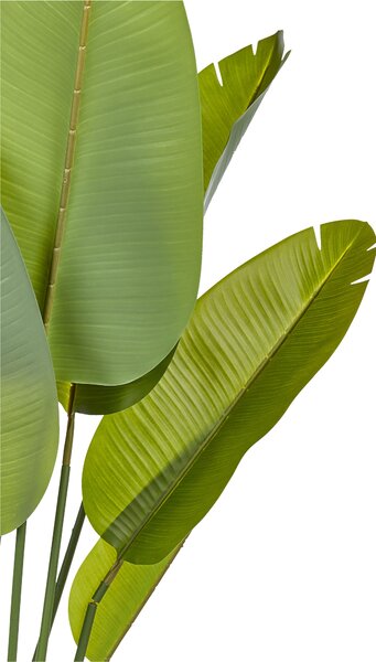 Műnövény BANANA TREE 187 cm Zöld