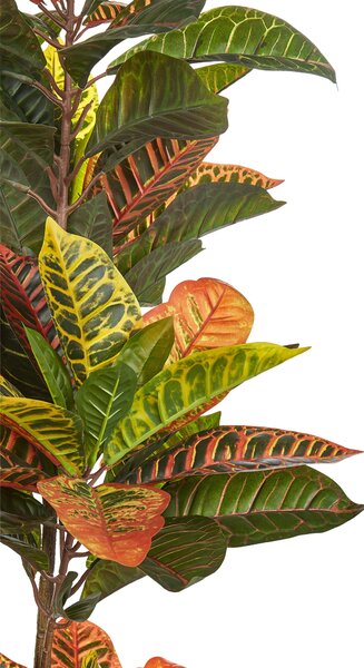 Műnövény CODIAEUM 140 cm Zöld