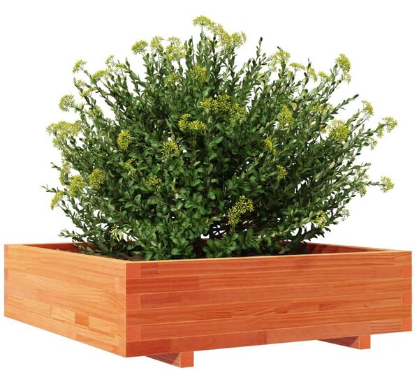 VidaXL Fa Virágláda - 90x90x27 cm - Tömör Fenyőfa