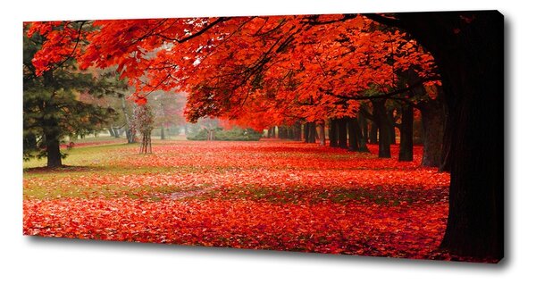 Egyedi vászonkép Fák ősszel