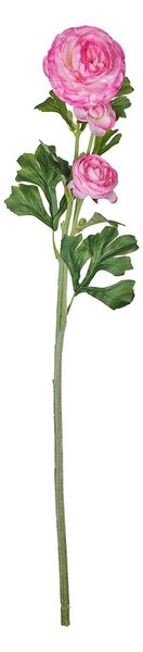 FLORISTA boglárka 63cm , rózsaszín