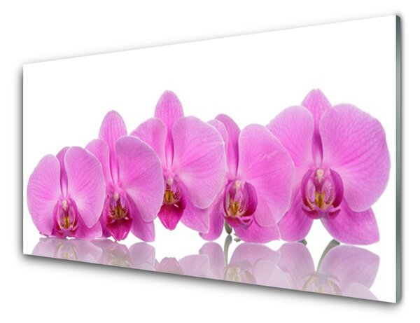 Modern üvegkép Rózsaszín orchidea virágok