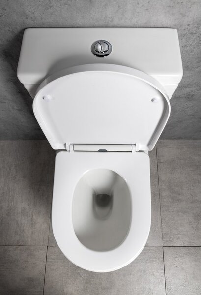 Bruckner Bruckner, DARIO RIMLESS WC kombi csésze tartállyal, alsó/hátsó hulladék, fehér, 201.437.4
