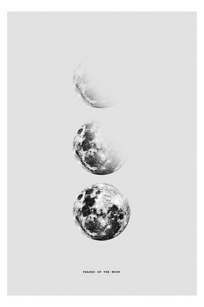 Plakát Finlay & Noa - Moon 5, (40 x 60 cm)