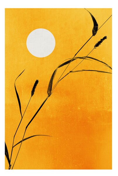 Plakát Kubistika - Sunny days, (40 x 60 cm)