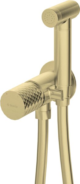 Deante Silia Hexa, rejtett bidé mixer bidé spray-vel, arany matt, DEA-BHS_R34M