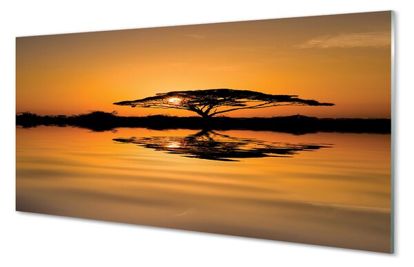 Konyhai üveg panel Sunset fa