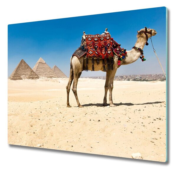 Üveg vágódeszka Camel Kairóban