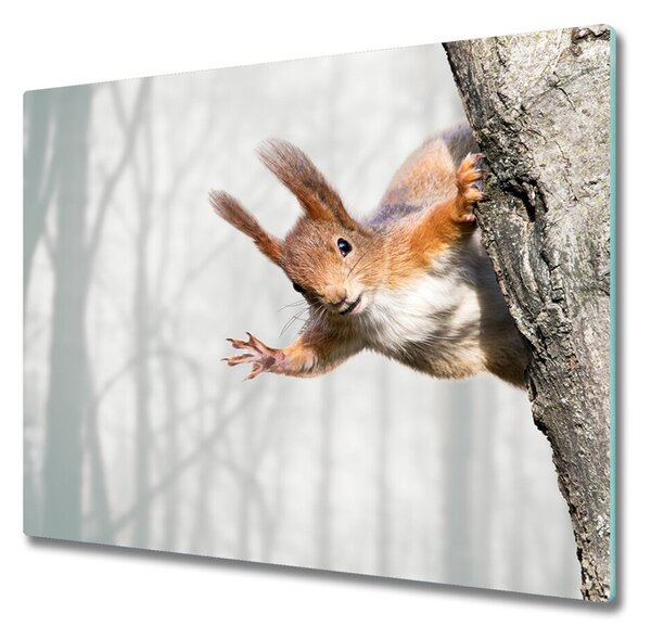 Üveg vágódeszka mókus