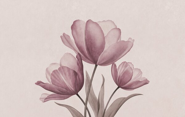 Fotótapéta Elegáns tulipánok lágy pasztell árnyalatokban, Virágos fotótapéta, Népszerű fotótapéta, t00762v2 - Tapeko.hu