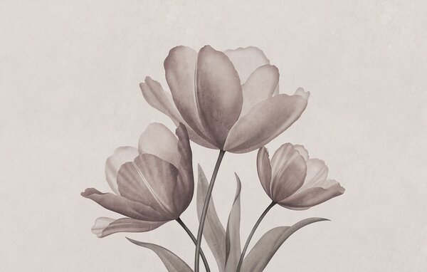 Fotótapéta Elegáns tulipánok lágy pasztell árnyalatokban, Virágos fotótapéta, Népszerű fotótapéta, t00762v3 - Tapeko.hu