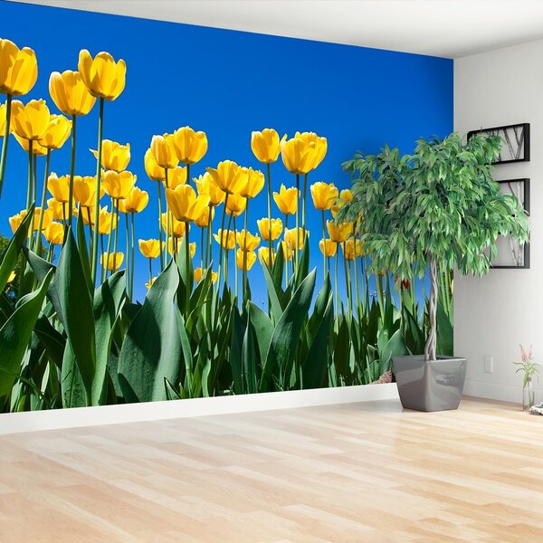 Fotótapéta vlies tapéta tulipán virágok 104x70 cm