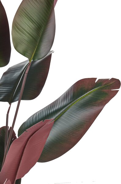 Műnövény BANANA TREE 163 cm Zöld