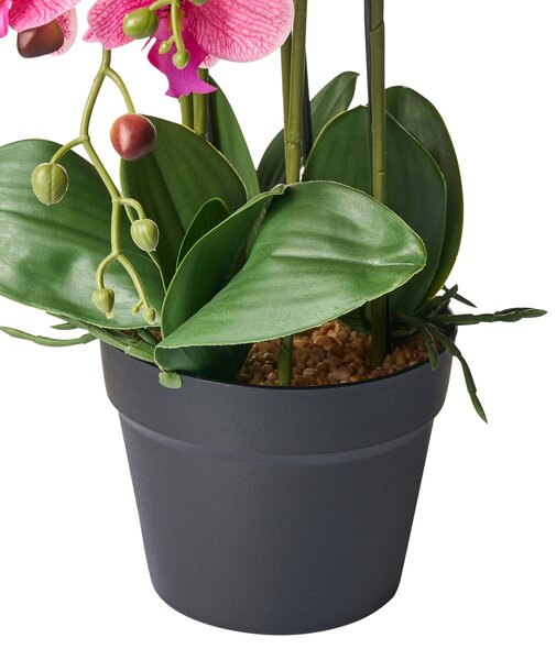 Műnövény ORCHID 65 cm Rózsaszín