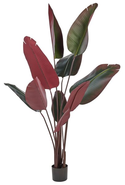 Műnövény BANANA TREE 163 cm Zöld