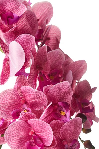 Műnövény ORCHID 65 cm Rózsaszín