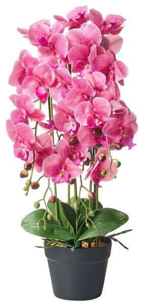 Műnövény ORCHID 65 cm Rózsaszín
