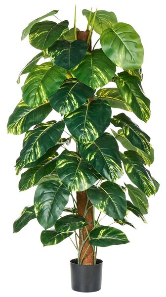 Műnövény DIEFFENBACHIA 152 cm Zöld