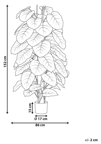 Műnövény DIEFFENBACHIA 152 cm Zöld