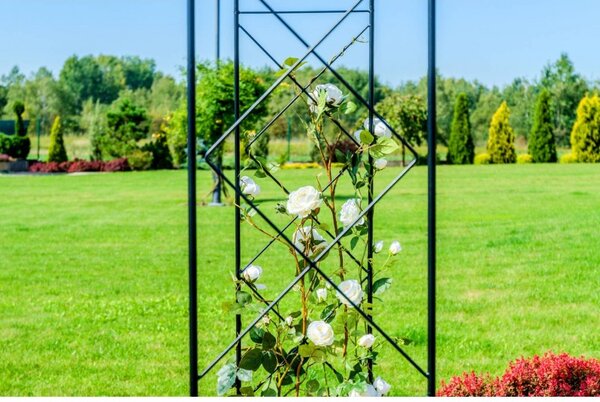 Klasszikus fém pergola