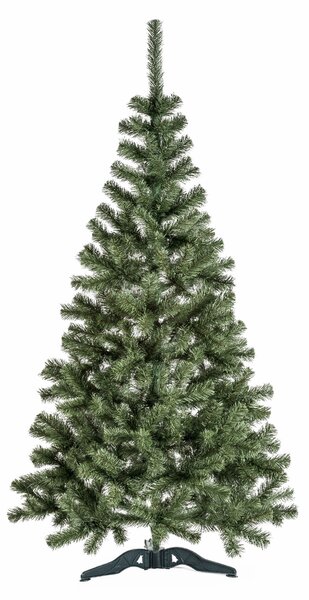 Aga Karácsonyfa Jegenyefenyő 150 cm