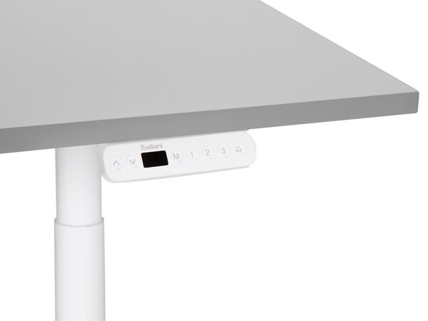 Elektromosan állítható asztal DESTINAS Szürke/fehér 120 cm 72 cm