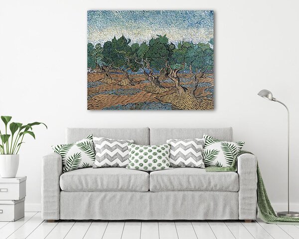 Vincent Van Gogh: Olajfa liget (vászonkép)