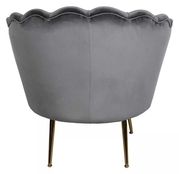 Ionia Velvet fotel, szürke