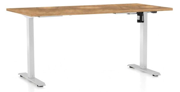 OfficeTech A állítható magasságú asztal, 160 x 80 cm, fehér alap, arany tölgy
