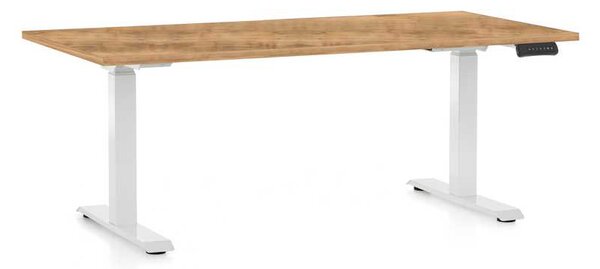 OfficeTech D állítható magasságú asztal, 160 x 80 cm, fehér alap, arany tölgy