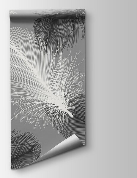 Fotótapéta Finom tollak lágy egyszínűségben, 3D fotótapéta, Népszerű fotótapéta, u04919 - Tapeko.hu